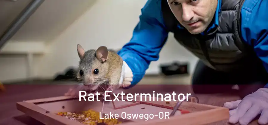  Rat Exterminator Lake Oswego-OR