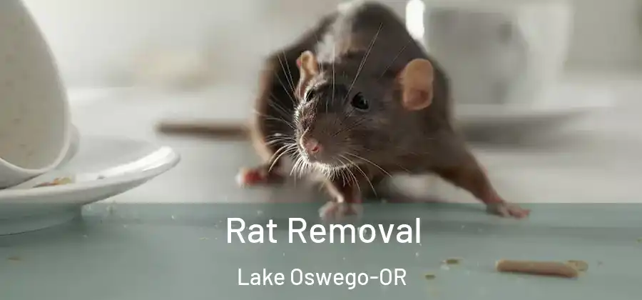Rat Removal Lake Oswego-OR