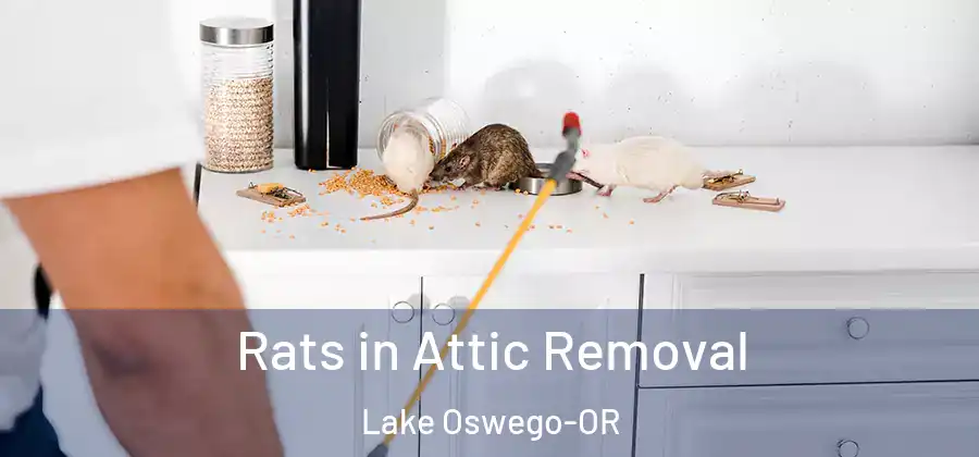 Rats in Attic Removal Lake Oswego-OR