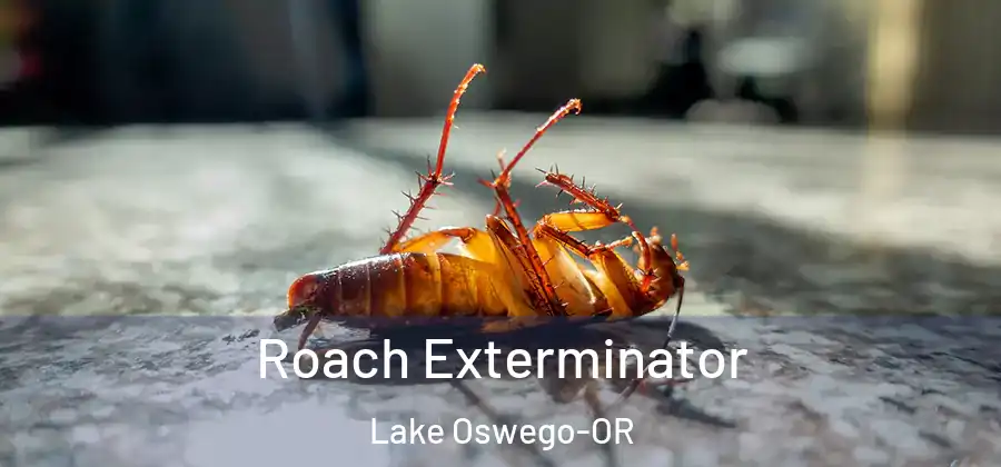 Roach Exterminator Lake Oswego-OR
