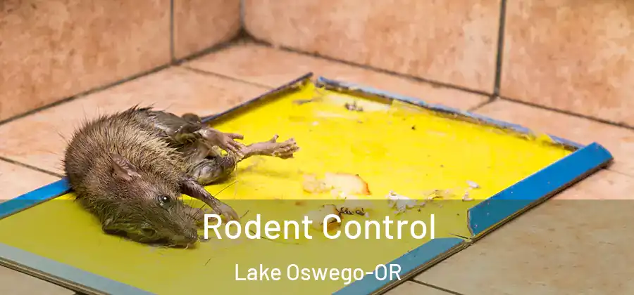 Rodent Control Lake Oswego-OR