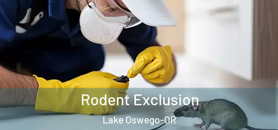 Rodent Exclusion Lake Oswego-OR