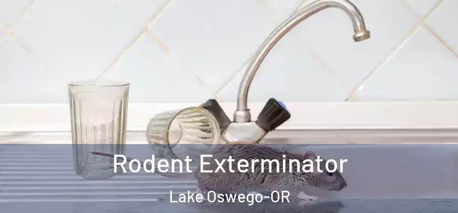  Rodent Exterminator Lake Oswego-OR