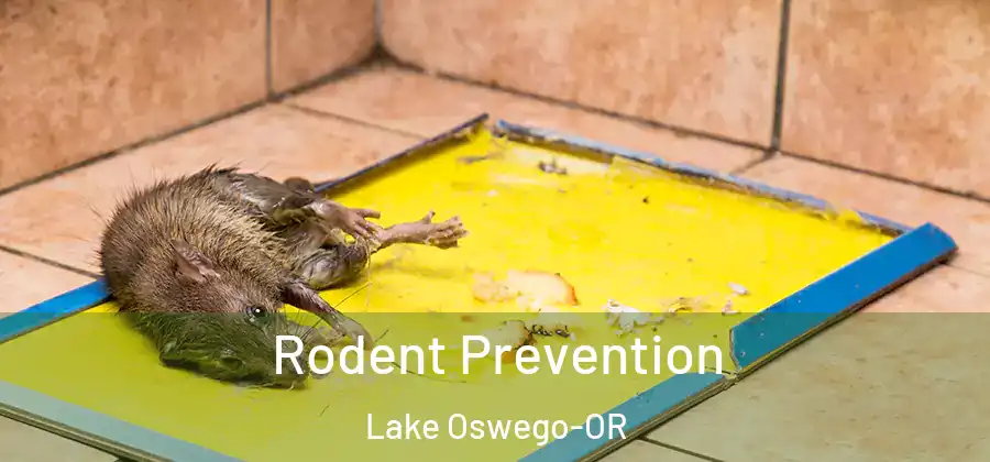  Rodent Prevention Lake Oswego-OR
