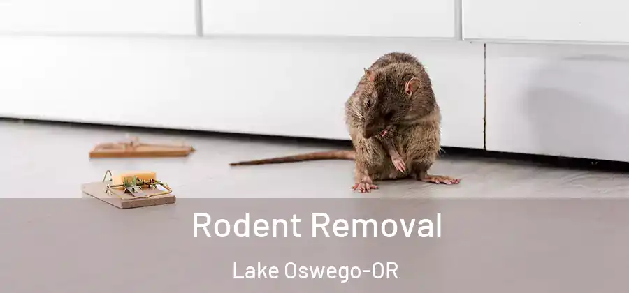 Rodent Removal Lake Oswego-OR