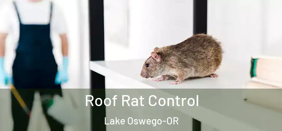  Roof Rat Control Lake Oswego-OR