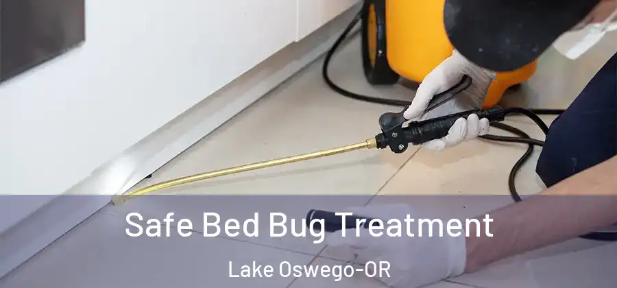  Safe Bed Bug Treatment Lake Oswego-OR