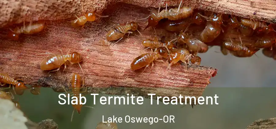 Slab Termite Treatment Lake Oswego-OR