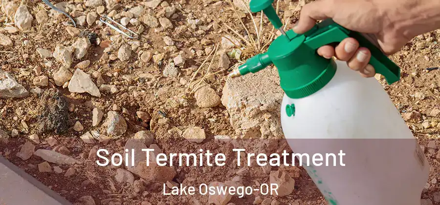 Soil Termite Treatment Lake Oswego-OR