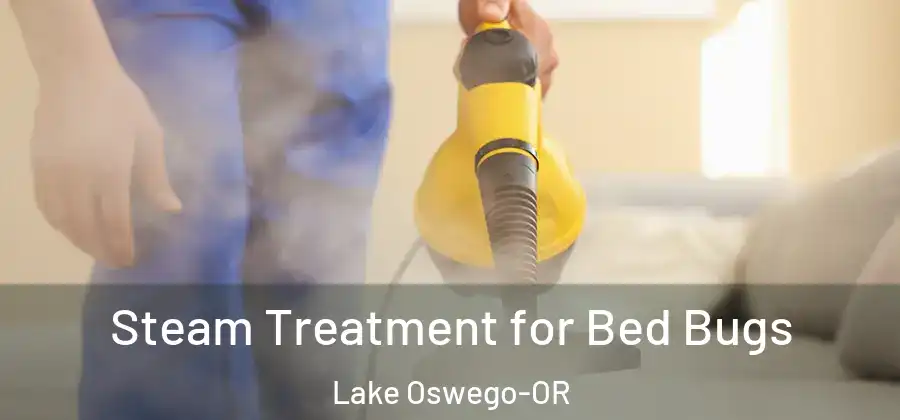 Steam Treatment for Bed Bugs Lake Oswego-OR