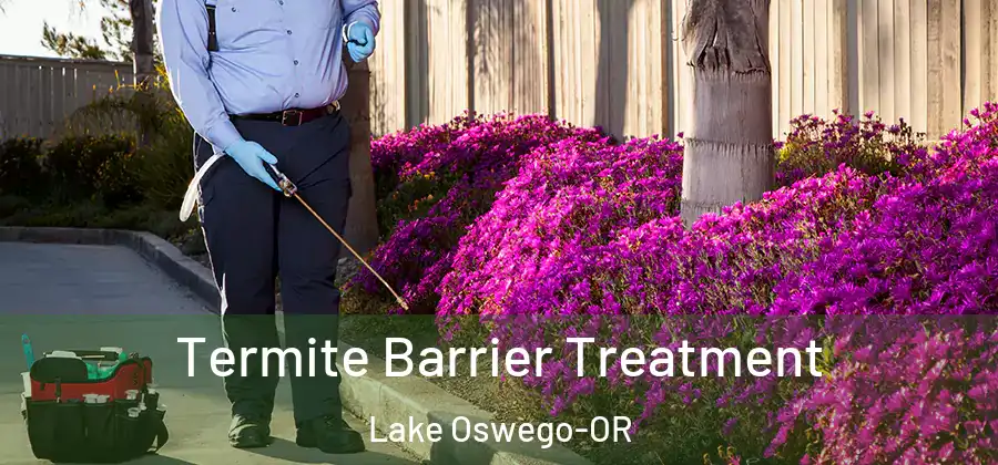  Termite Barrier Treatment Lake Oswego-OR