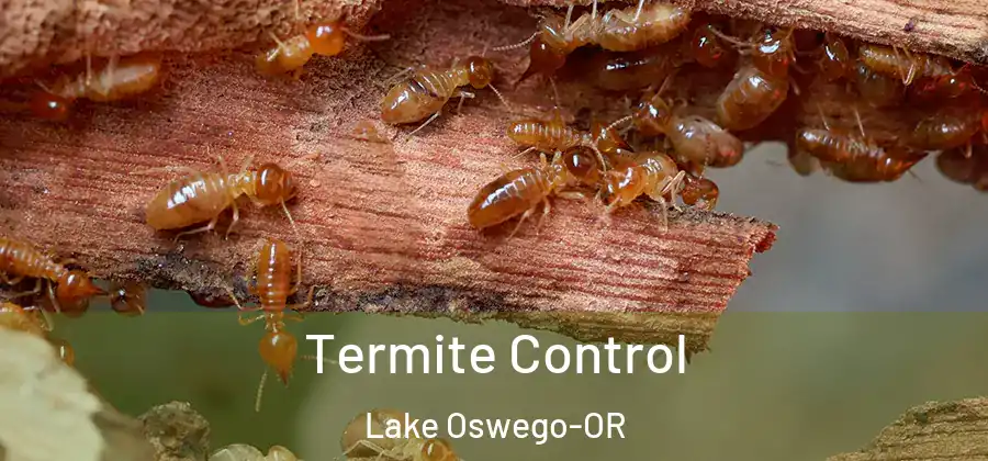 Termite Control Lake Oswego-OR