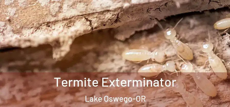 Termite Exterminator Lake Oswego-OR