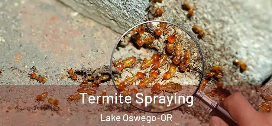  Termite Spraying Lake Oswego-OR