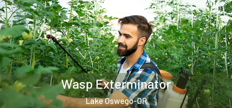 Wasp Exterminator Lake Oswego-OR