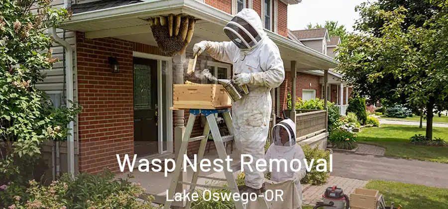 Wasp Nest Removal Lake Oswego-OR