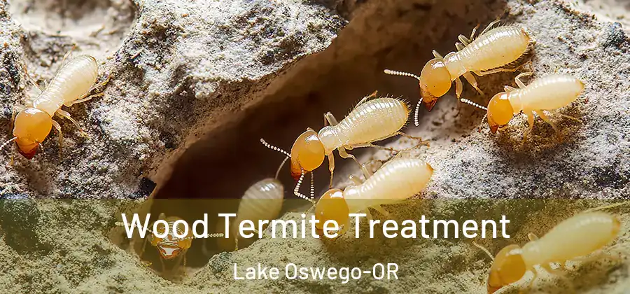  Wood Termite Treatment Lake Oswego-OR