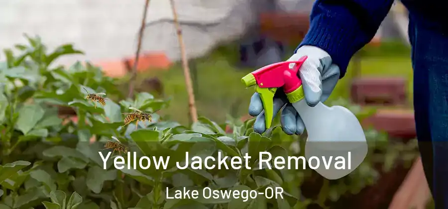 Yellow Jacket Removal Lake Oswego-OR